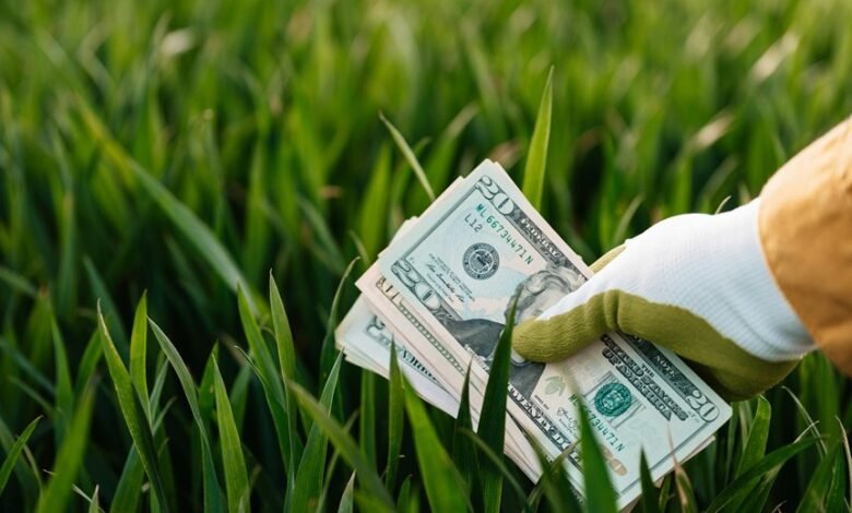 financial management and gardening design