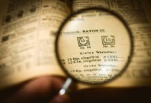 next steps and information
